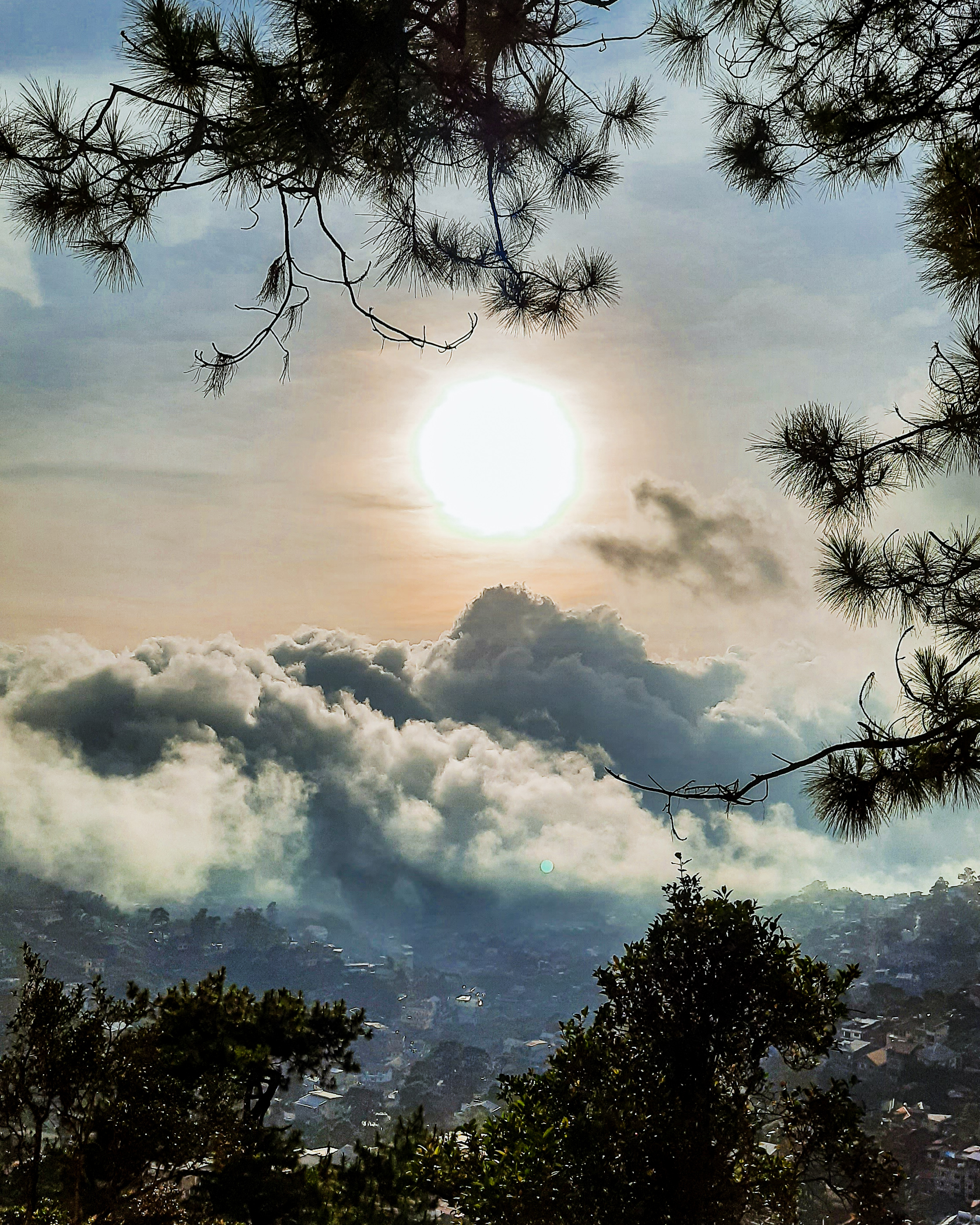 A view of the sun rising above a landscape of clouds and pine trees in Baguio City, showcasing the natural beauty of the area.