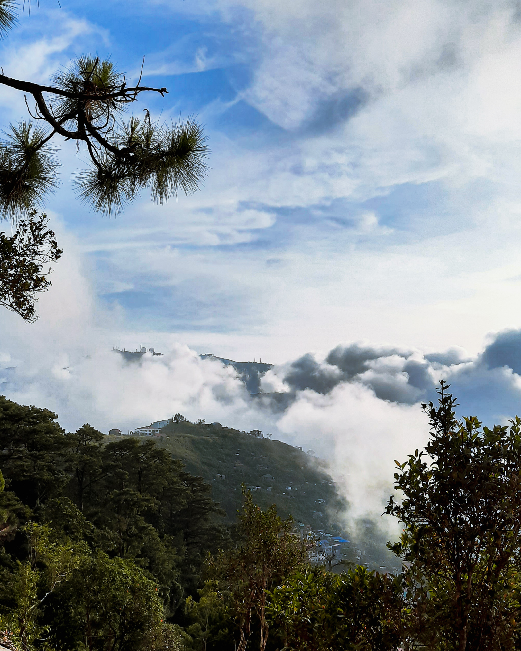 A scenic view from a hillside in Baguio City, featuring lush green trees and a panoramic landscape shrouded in clouds, showcasing the beautiful atmospheric conditions typical of the region.