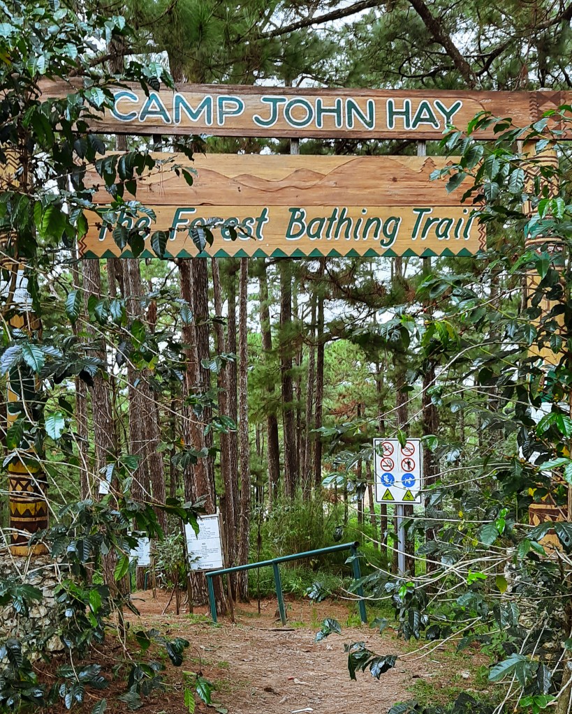 Signage for Camp John Hay's Forest Bathing Trail surrounded by pine trees and foliage.