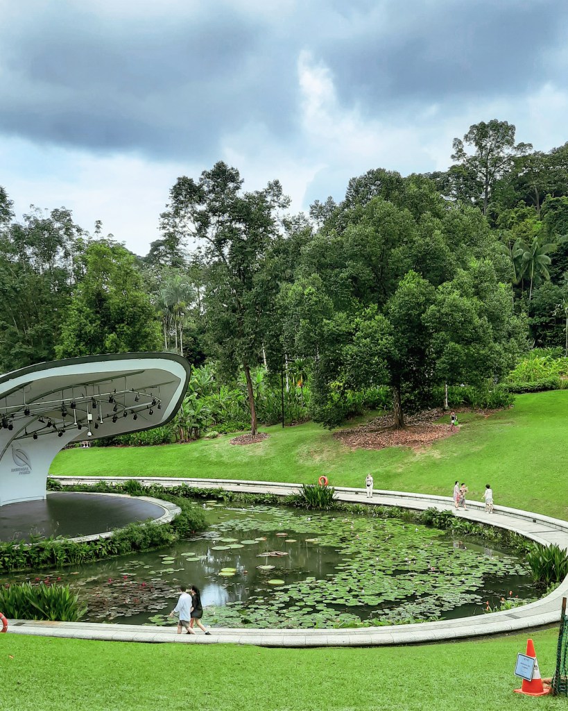 A scenic view of a landscaped area in Singapore Botanic Gardens featuring a small body of water with lily pads, surrounded by lush greenery and visitors strolling along a pathway.