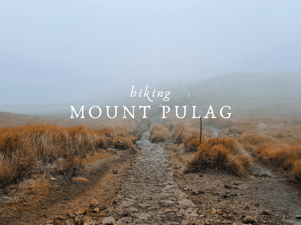 Hiking Mount Pulag for the First&nbsp;Time