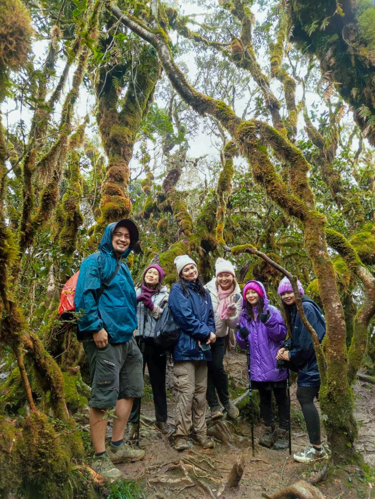 Group photo of hikers in Mount Pulag's Mossy Forest