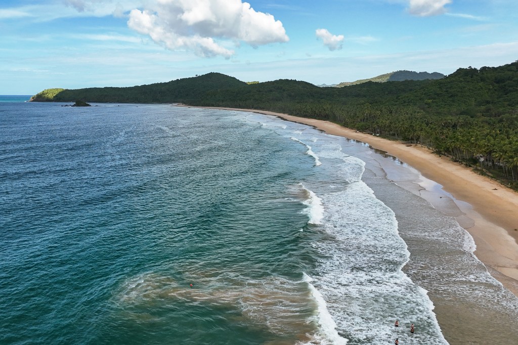 Drone shot of a beach bordered by lush forest