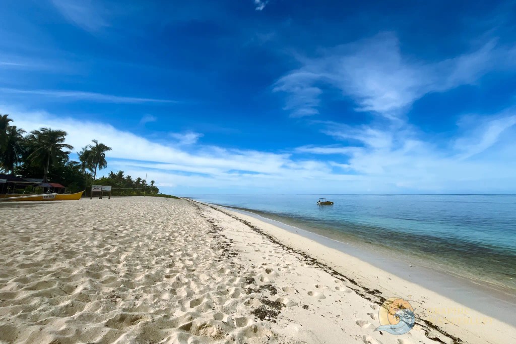 Scenic view of a pristine beach with soft white sand and gentle waves under a clear blue sky, surrounded by palm trees.