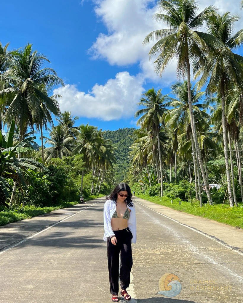 A person walking on a roadside flanked by palm trees under a bright blue sky.