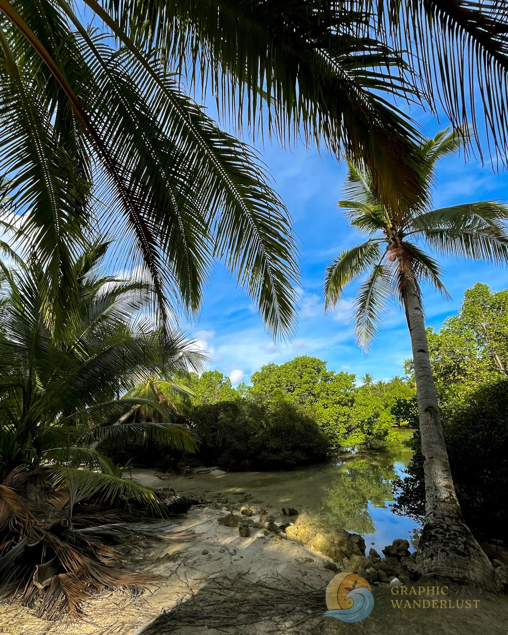 A view of a natural pool with clear blue skies in the backgrounded and lush tropical foliage bordering it. 