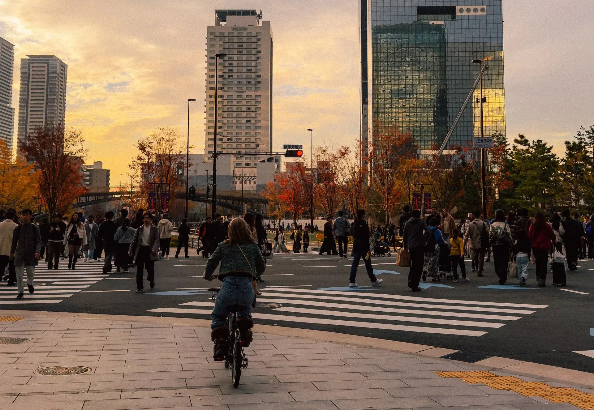 Osaka Autumn People crossing a busy city street with autumn trees and tall buildings at sunset