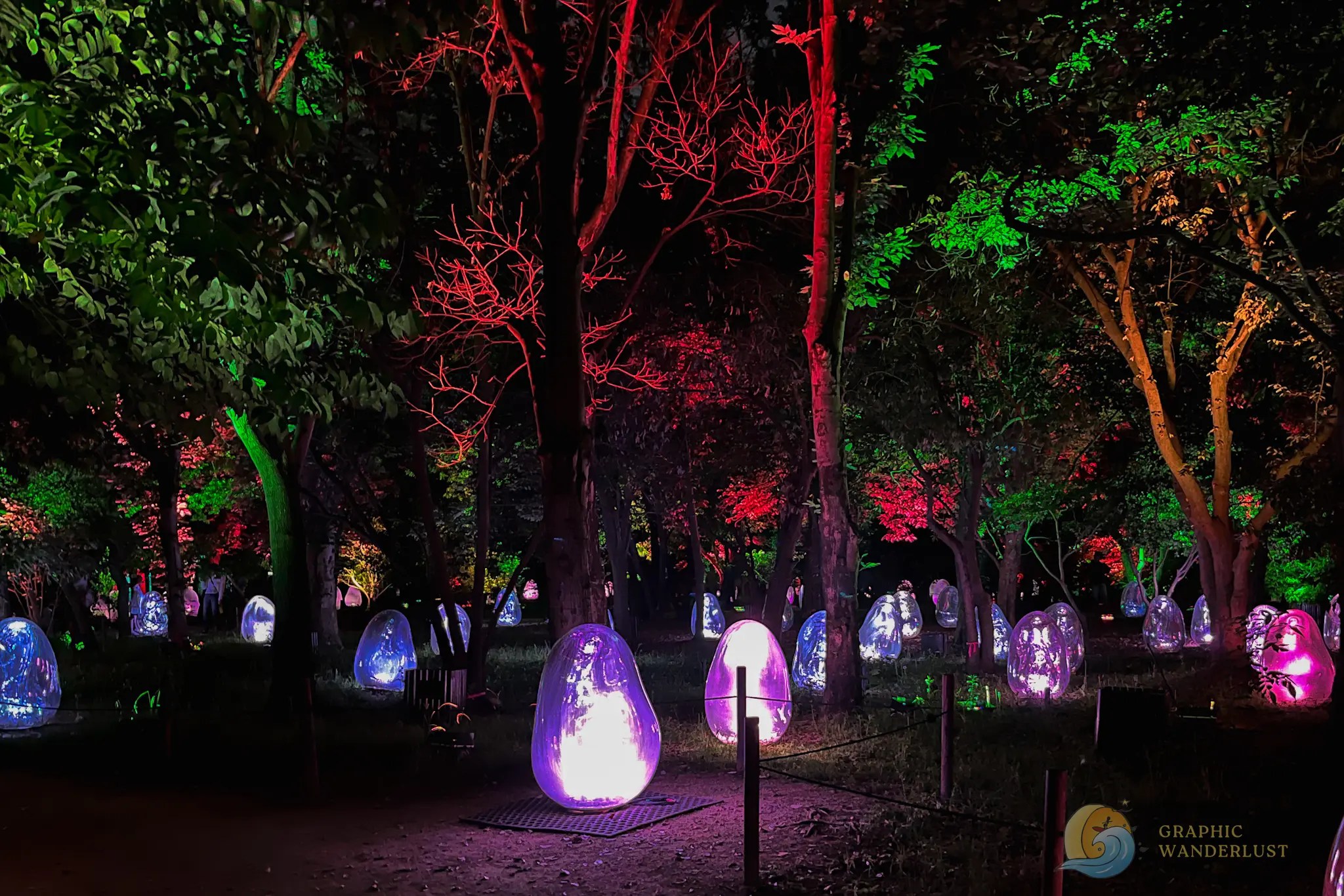 teamLab Botanical Garden Ovoids Night scene of a park illuminated with colorful red, green, and purple lights on trees and glowing egg-shaped sculptures on the ground