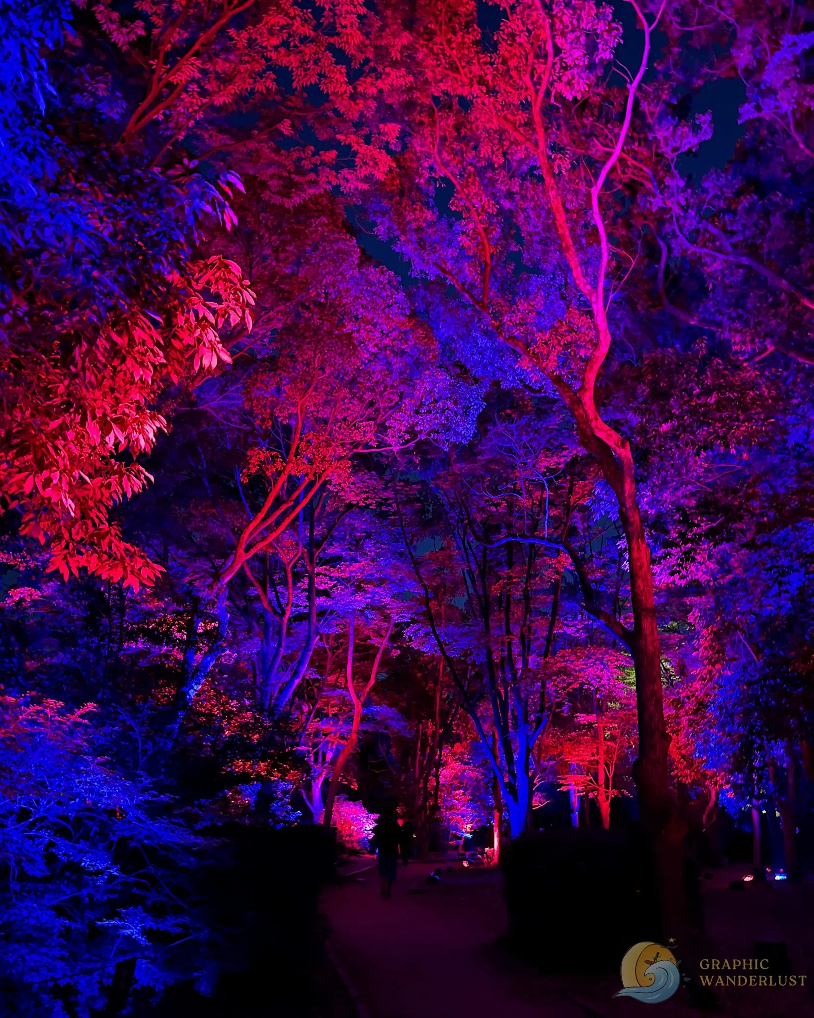 teamLab Botanical Garden Trees Trees illuminated with bright red and blue lights at night with a dark path and silhouettes of people