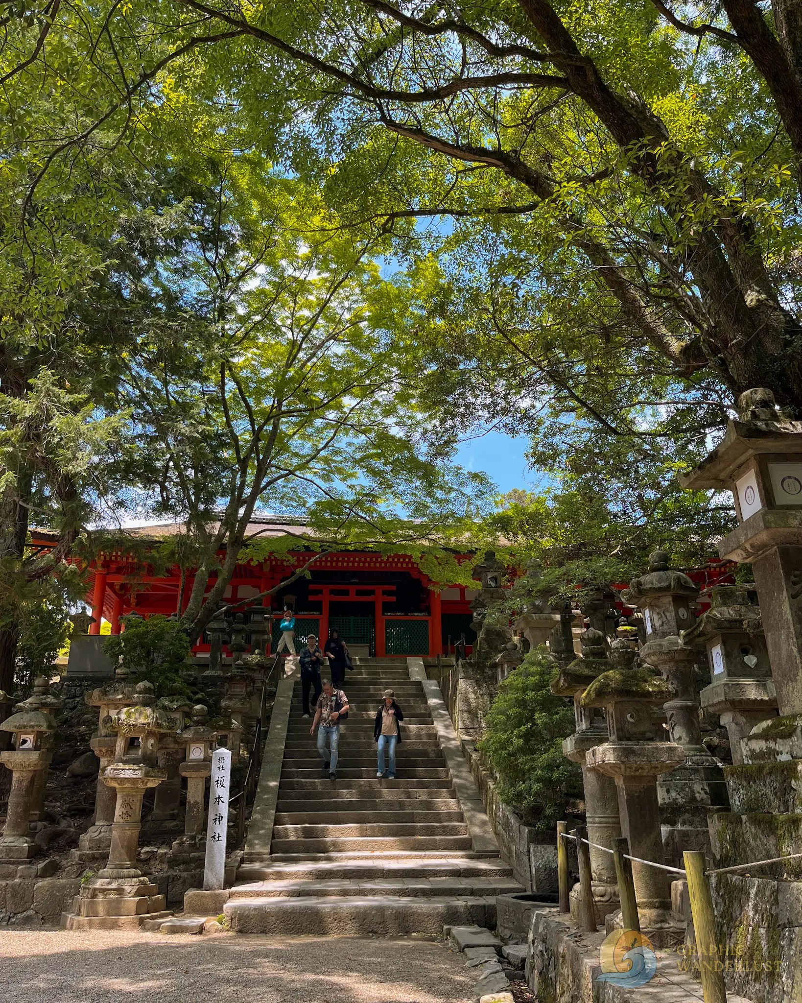 A Shinto shrine with a staircase leading to its entrance and shielded from the sun by a canopy of trees.