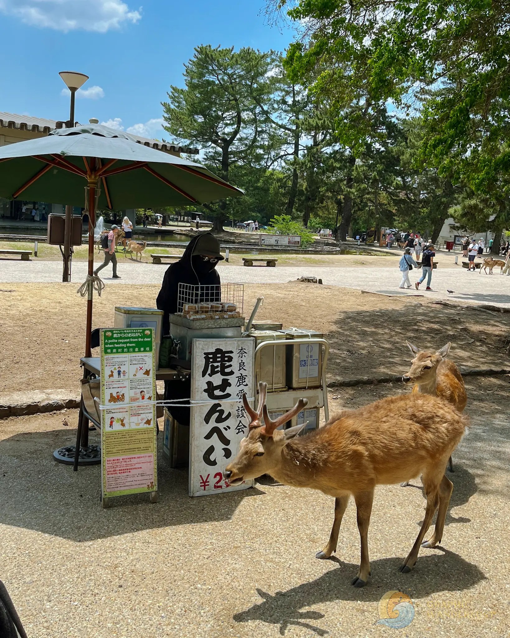 Two deer near a person wearing a dark hoodie and face mask selling items under a green umbrella