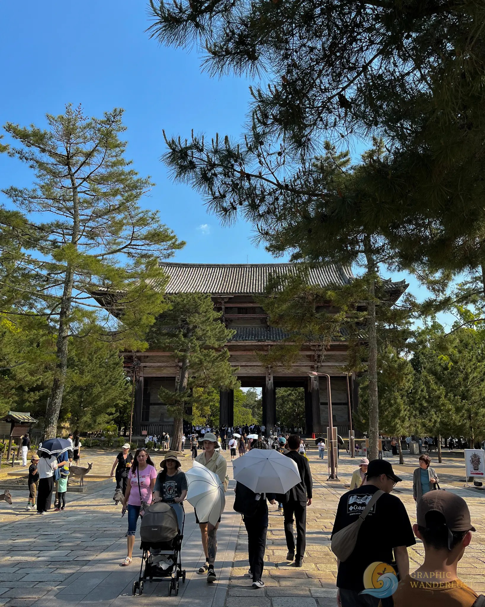 Crowd of people walking near large traditional Japanese wooden gate with pine trees overhead